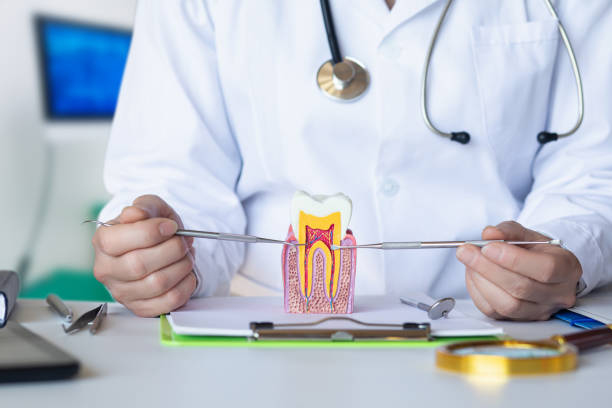 Best Emergency Dental Services for Seniors in Downs, IL